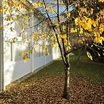 Du Parc Nantes Ouest 2* Orvault