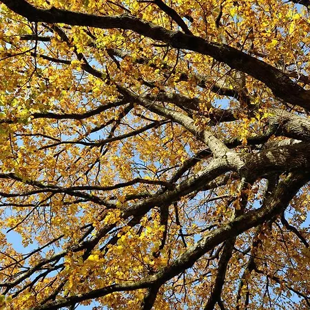 Du Parc Nantes Ouest 酒店 奥尔沃